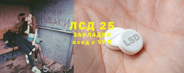 стаф Заводоуковск