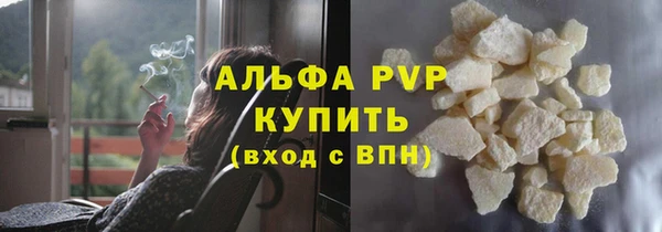 стаф Заводоуковск