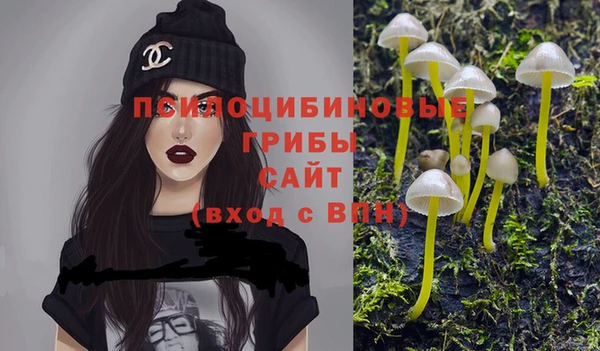 a pvp Зеленокумск