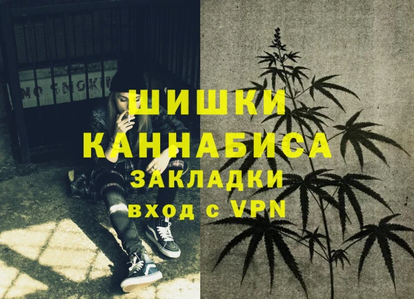 амф Заволжск