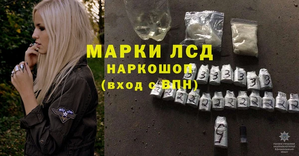 стаф Заводоуковск