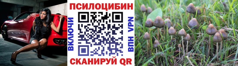 Галлюциногенные грибы мухоморы  продажа наркотиков  OMG как войти  Ивантеевка 
