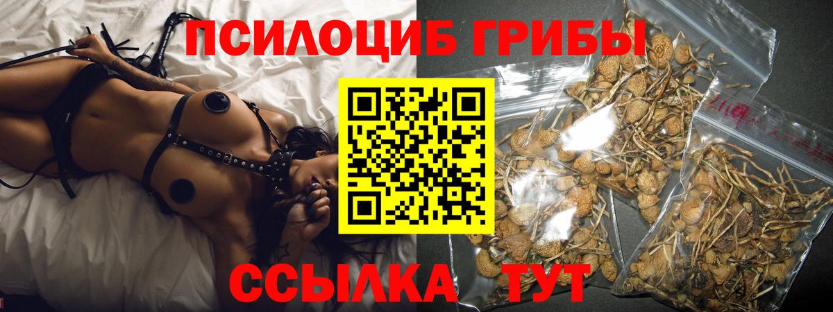 Псилоцибиновые грибы мицелий Ивантеевка